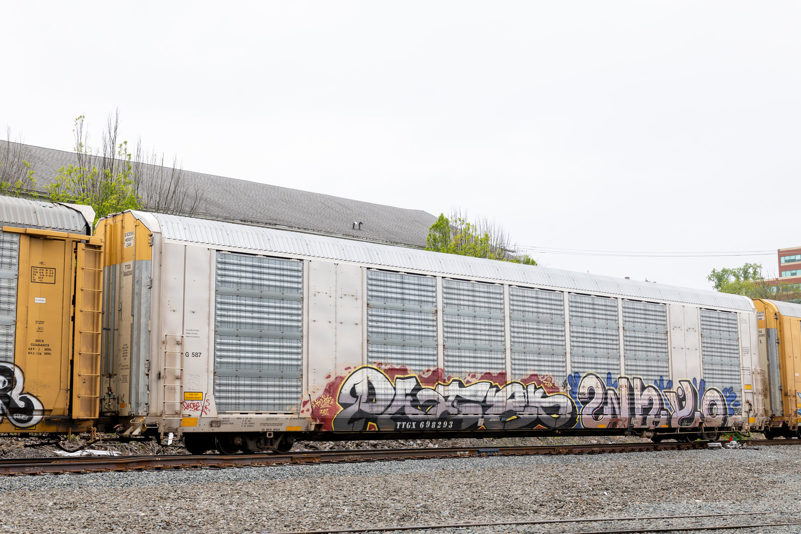 TTGX 698293