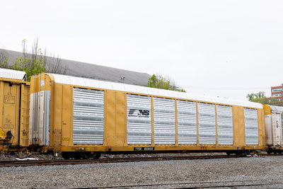 TTGX 823655