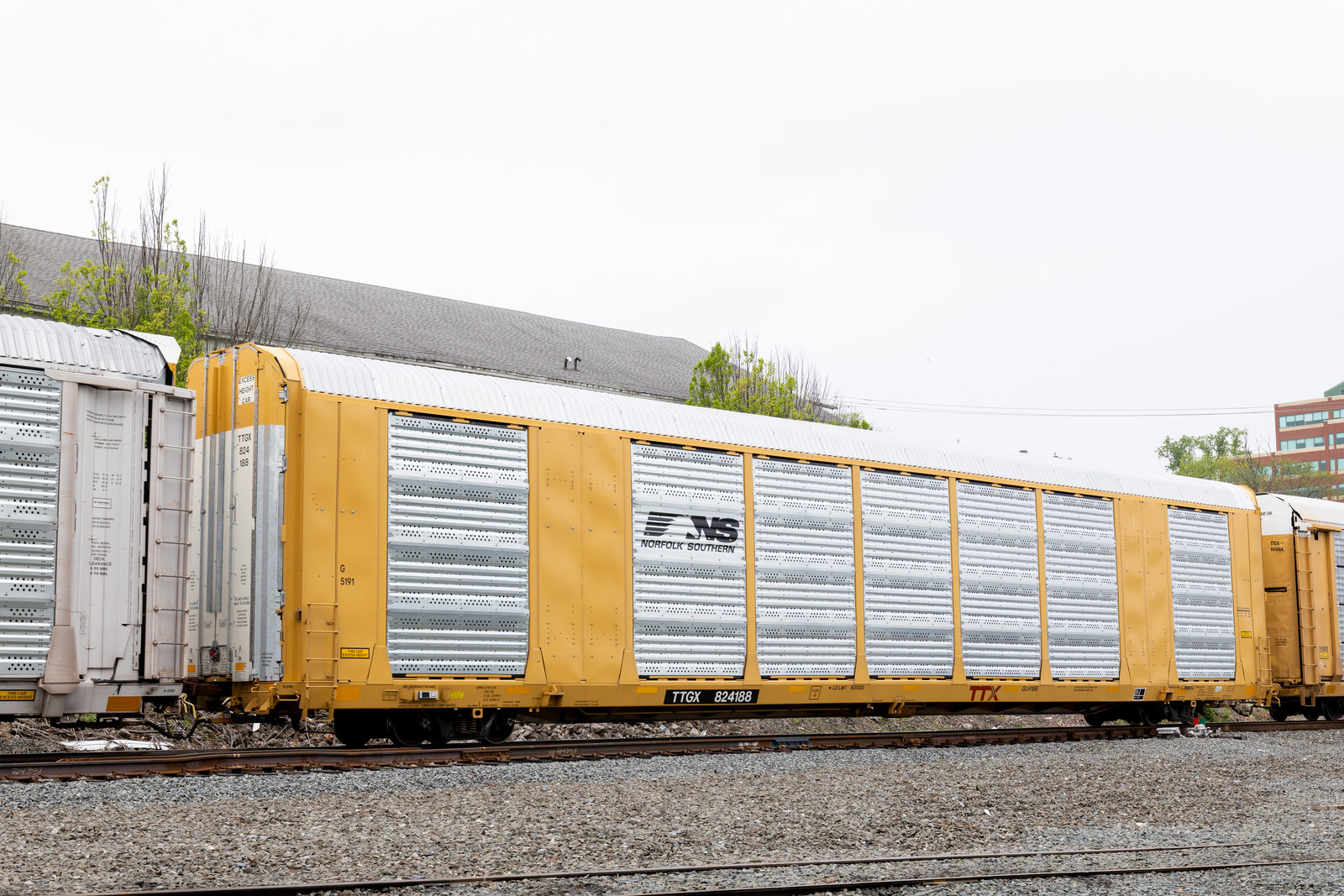 TTGX 824188