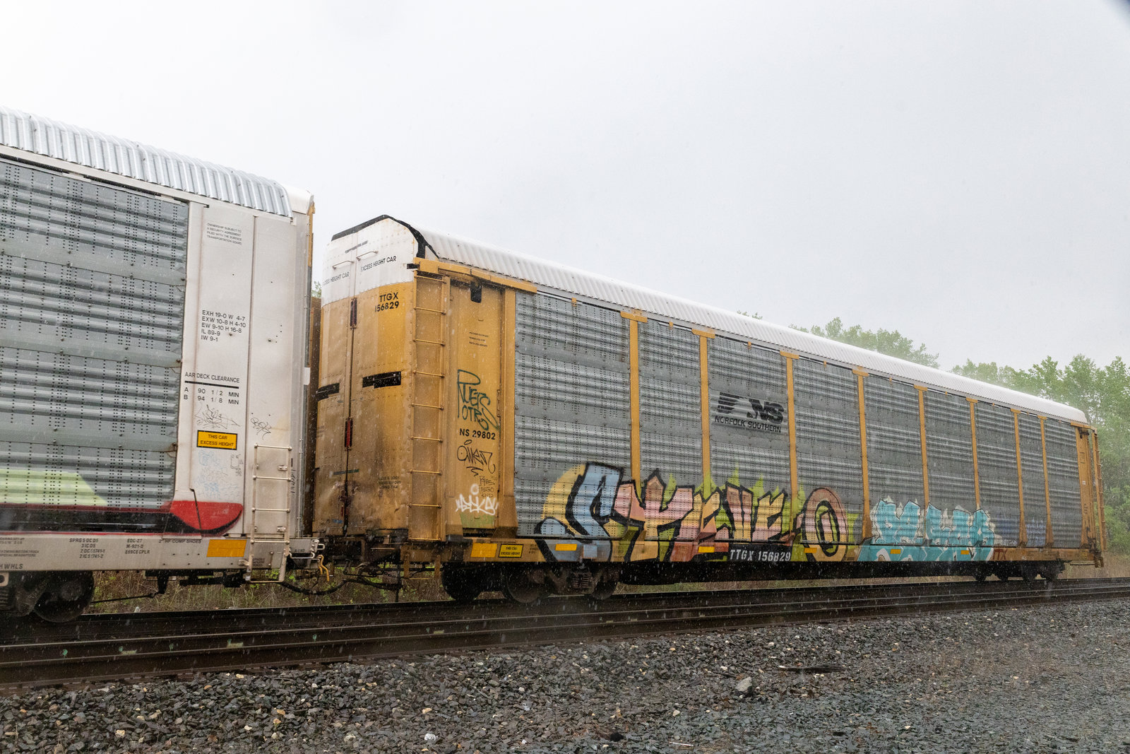 TTGX 156829