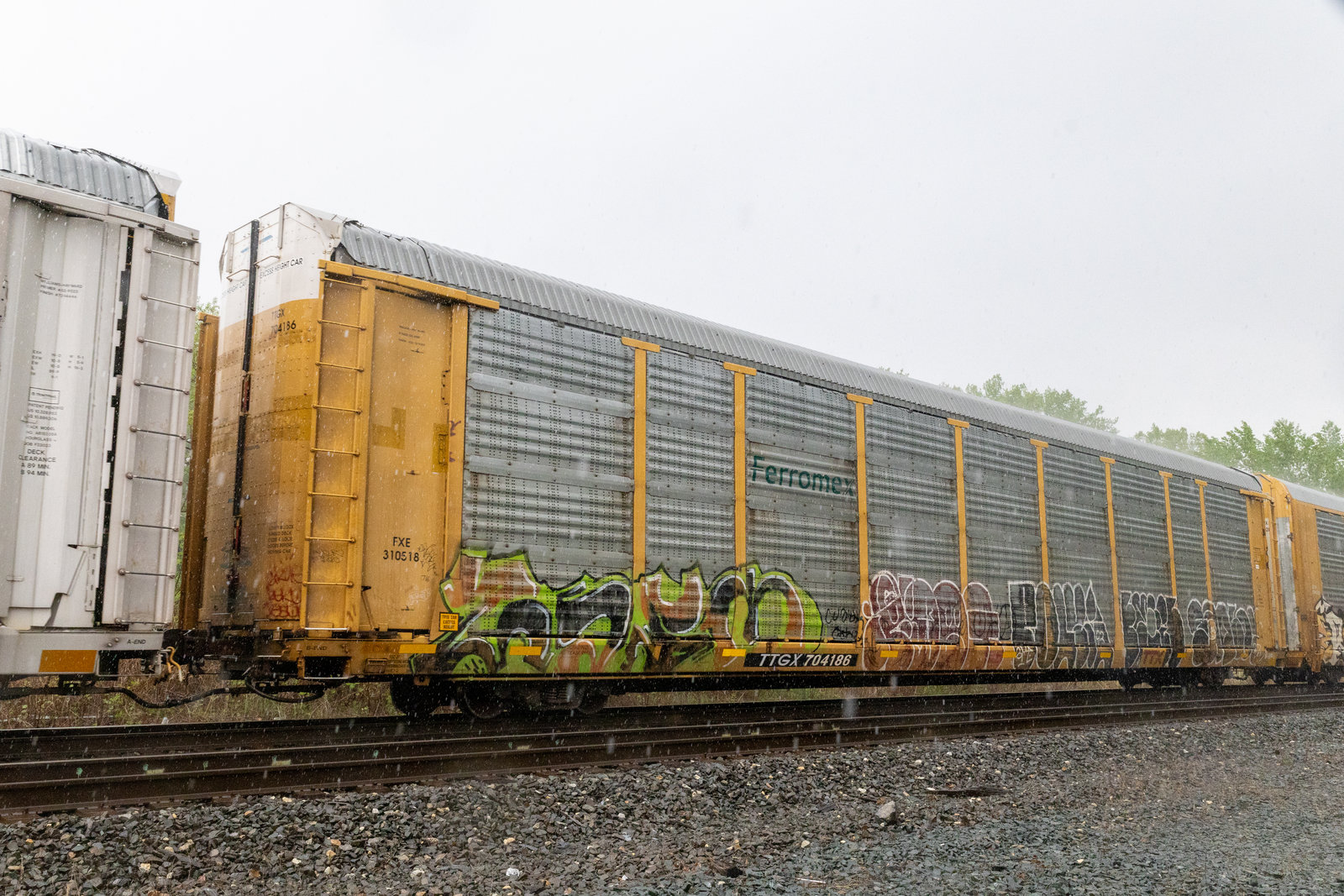TTGX 704186