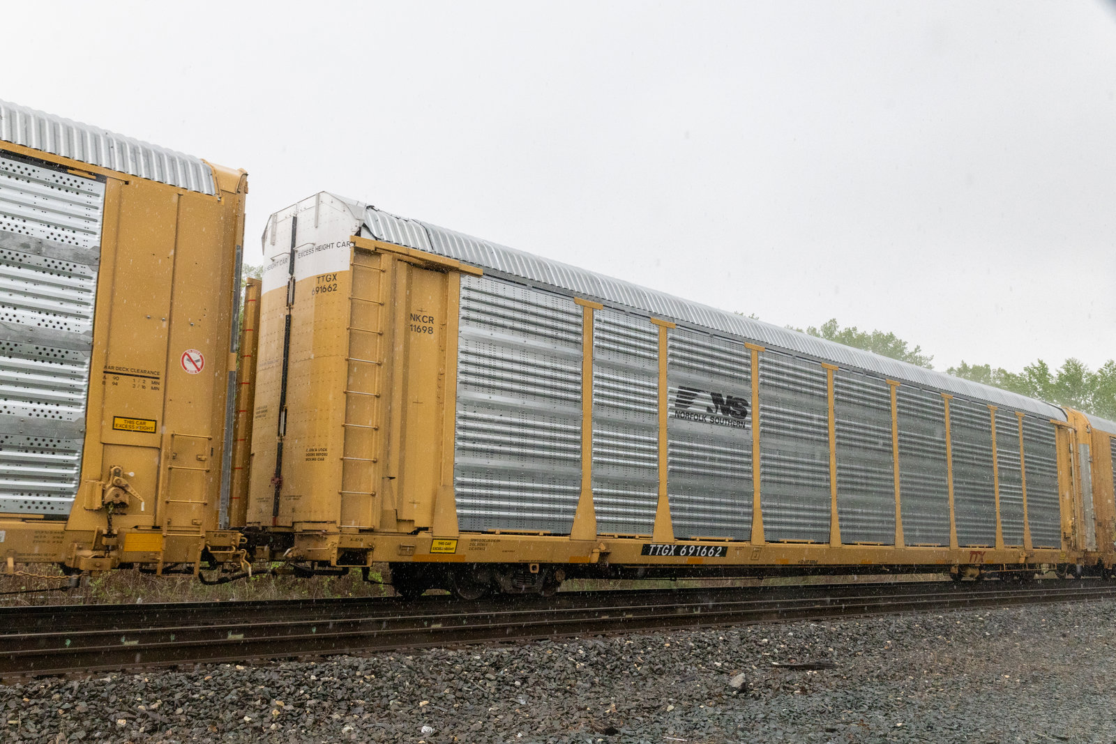 TTGX 691662