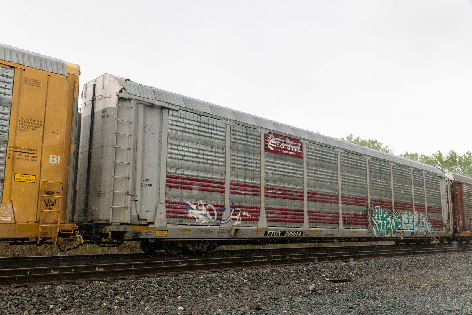 TTGX 705614