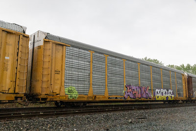 TTGX 702129