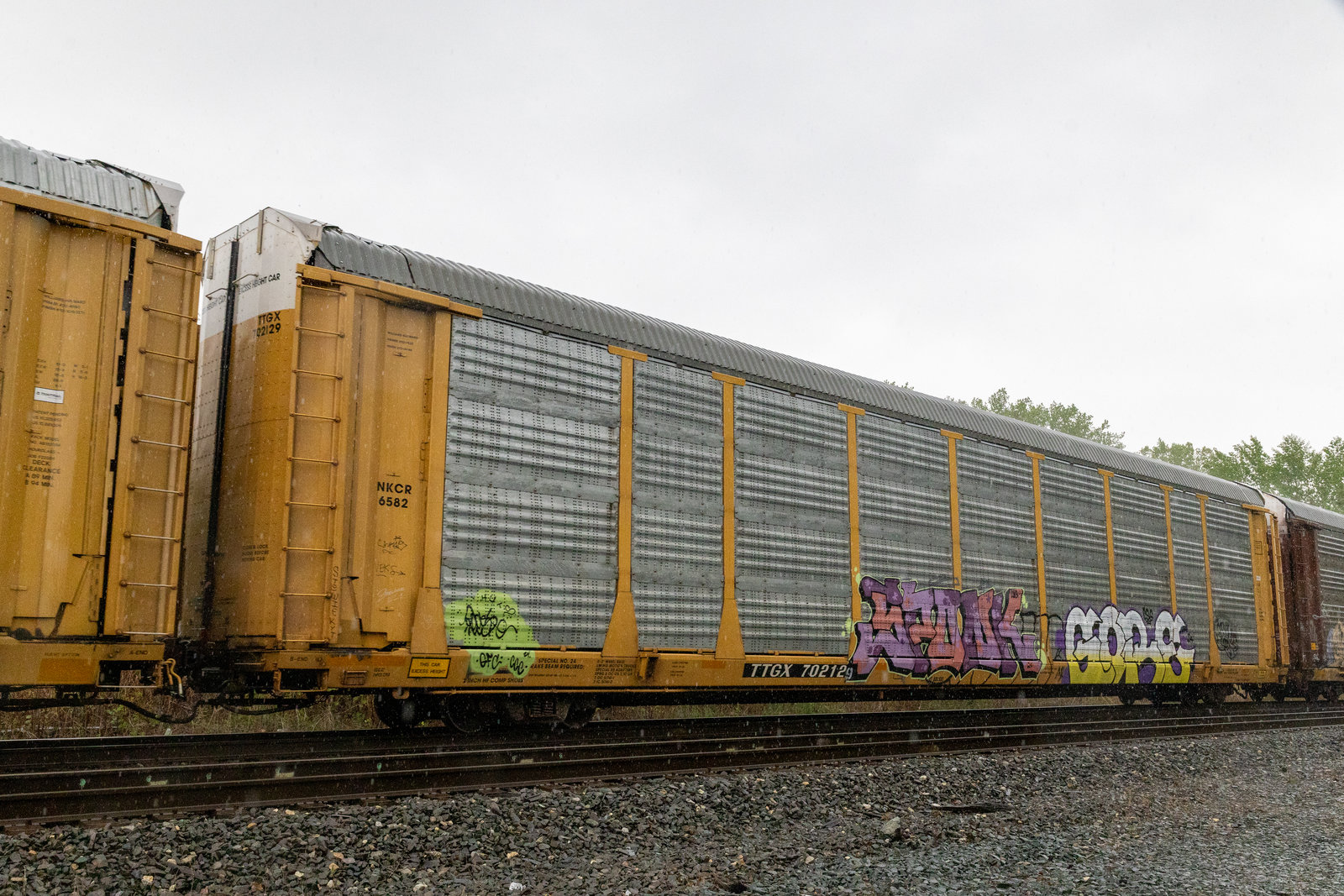 TTGX 702129