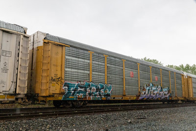 TTGX 990398