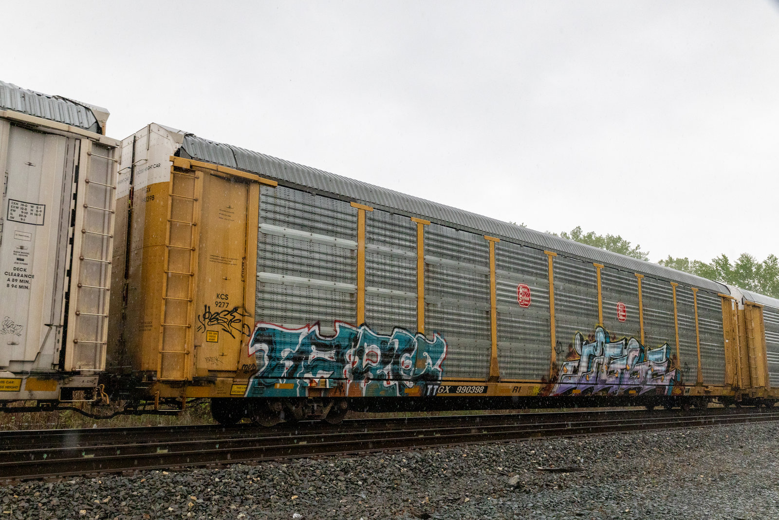 TTGX 990398