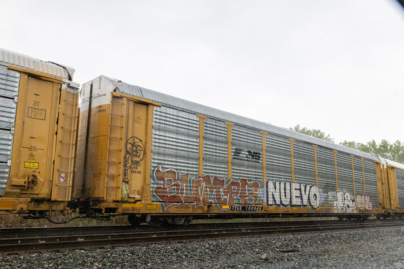 TTGX 706944