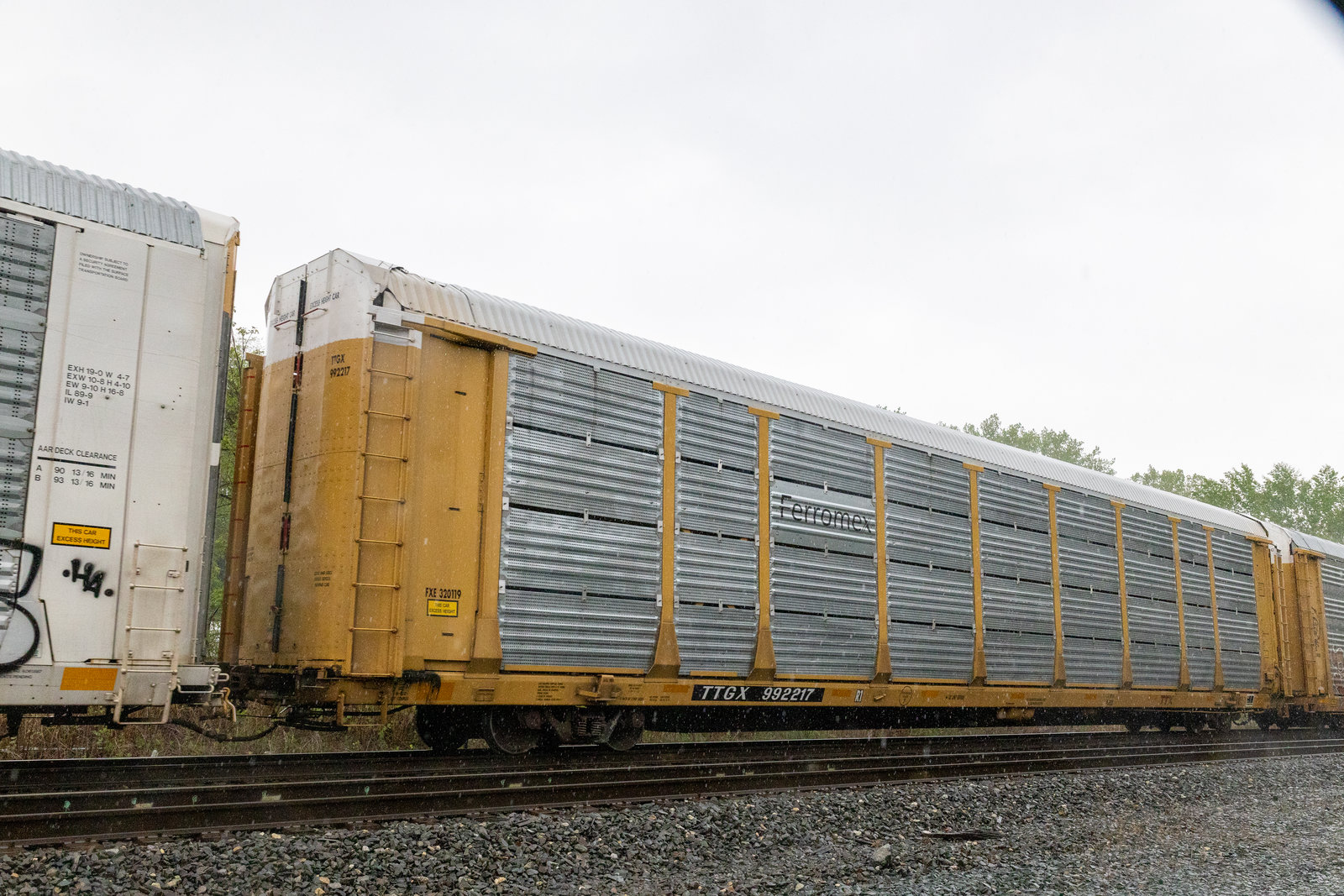 TTGX 992217