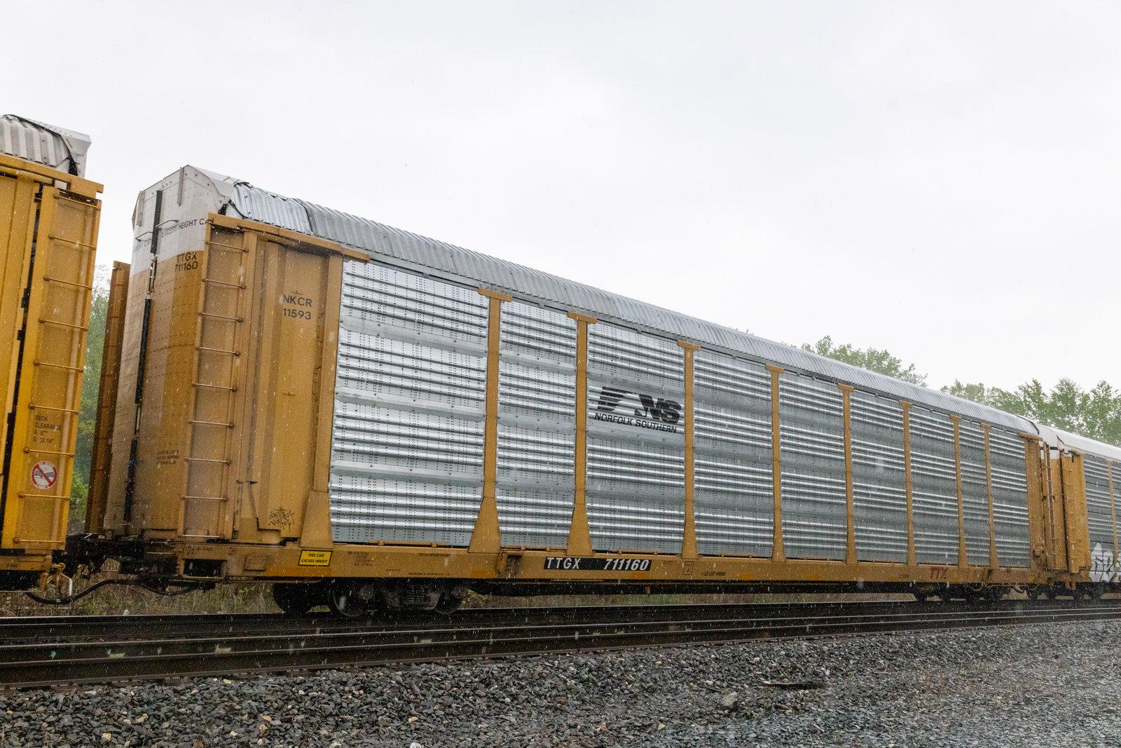 TTGX 711160