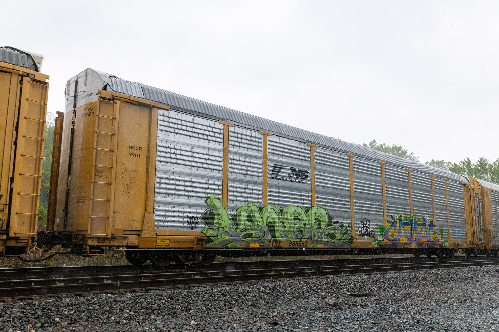 TTGX 988682