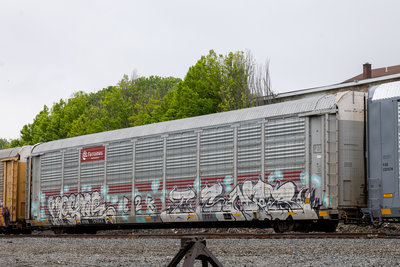 TTGX 707243