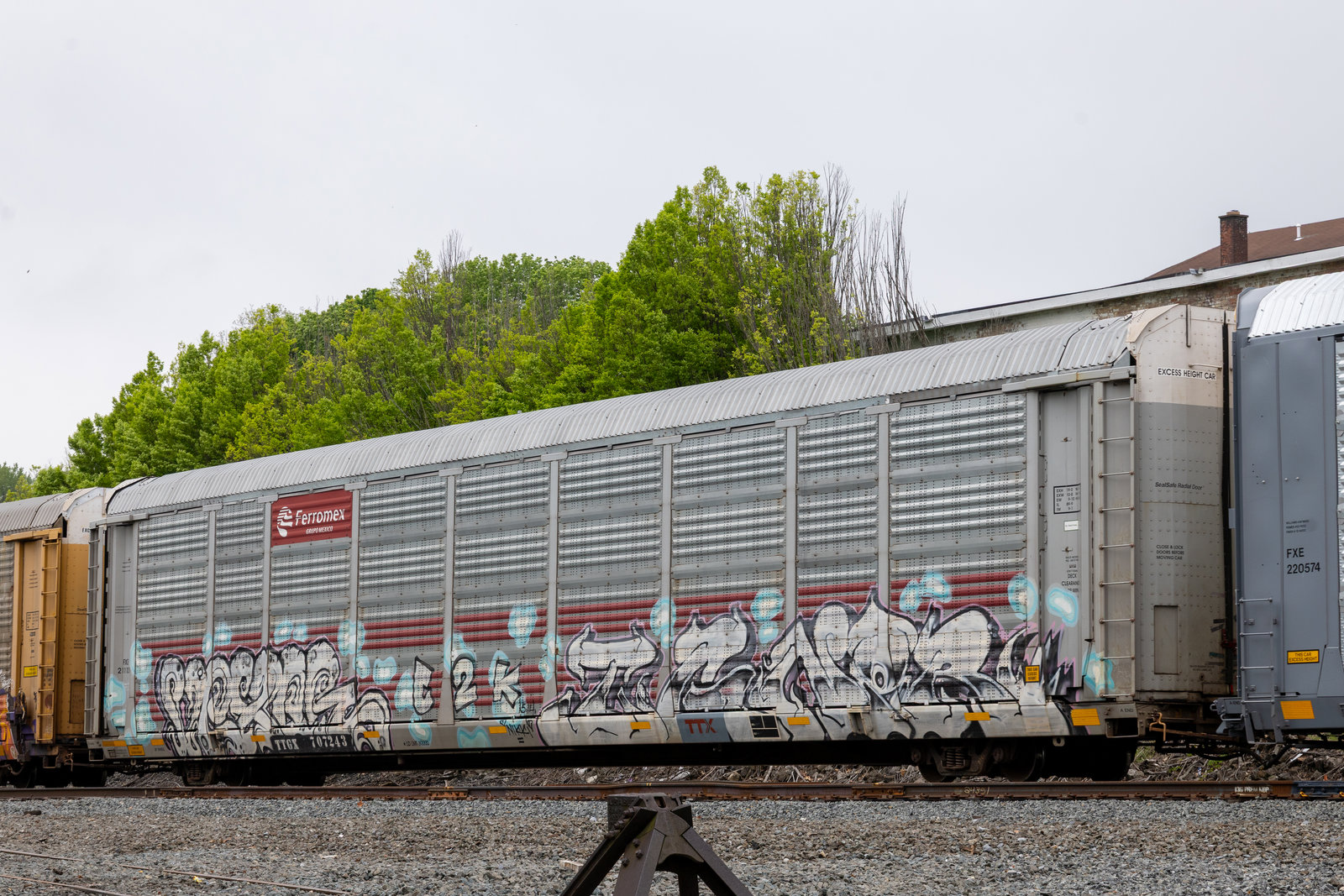 TTGX 707243