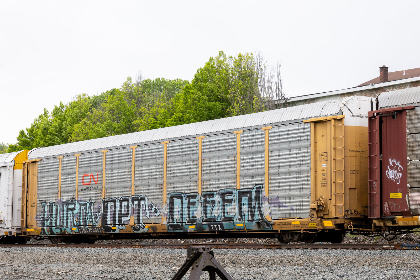 TTGX 706087