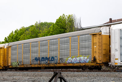 TTGX 160492