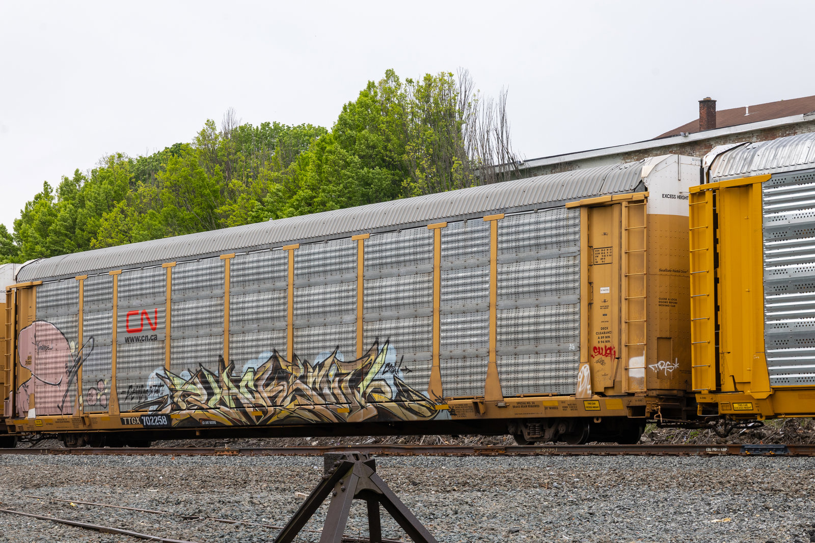 TTGX 702258