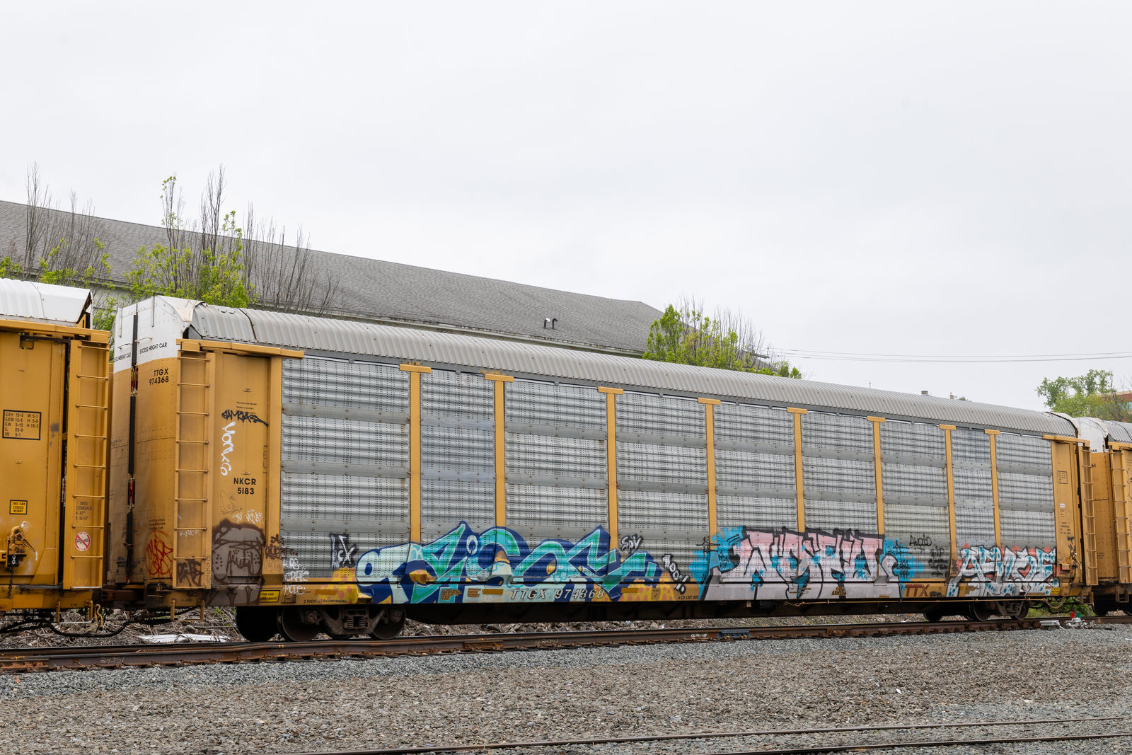 TTGX 974368
