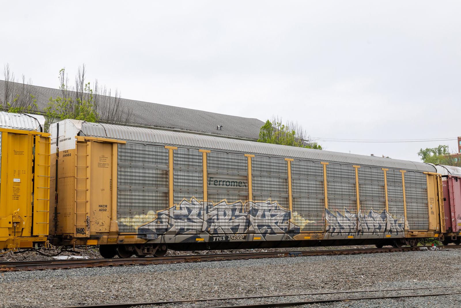 TTGX 254502