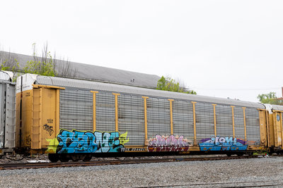 TTGX 254431