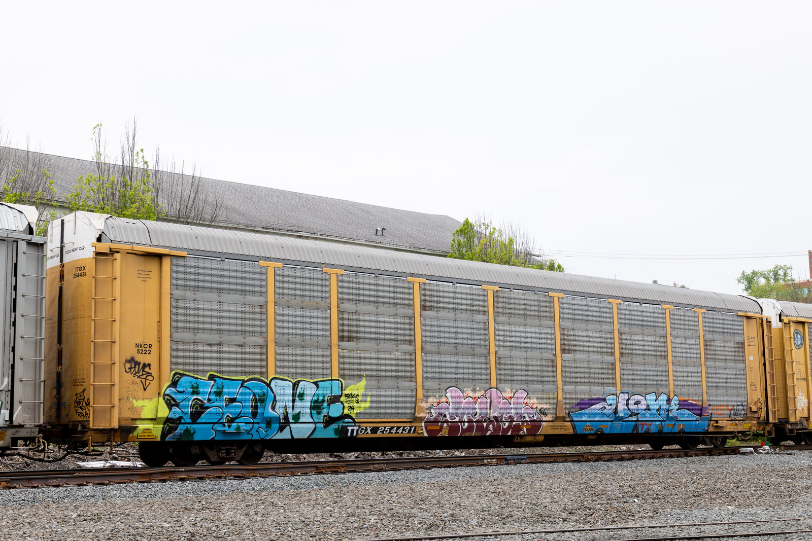 TTGX 254431