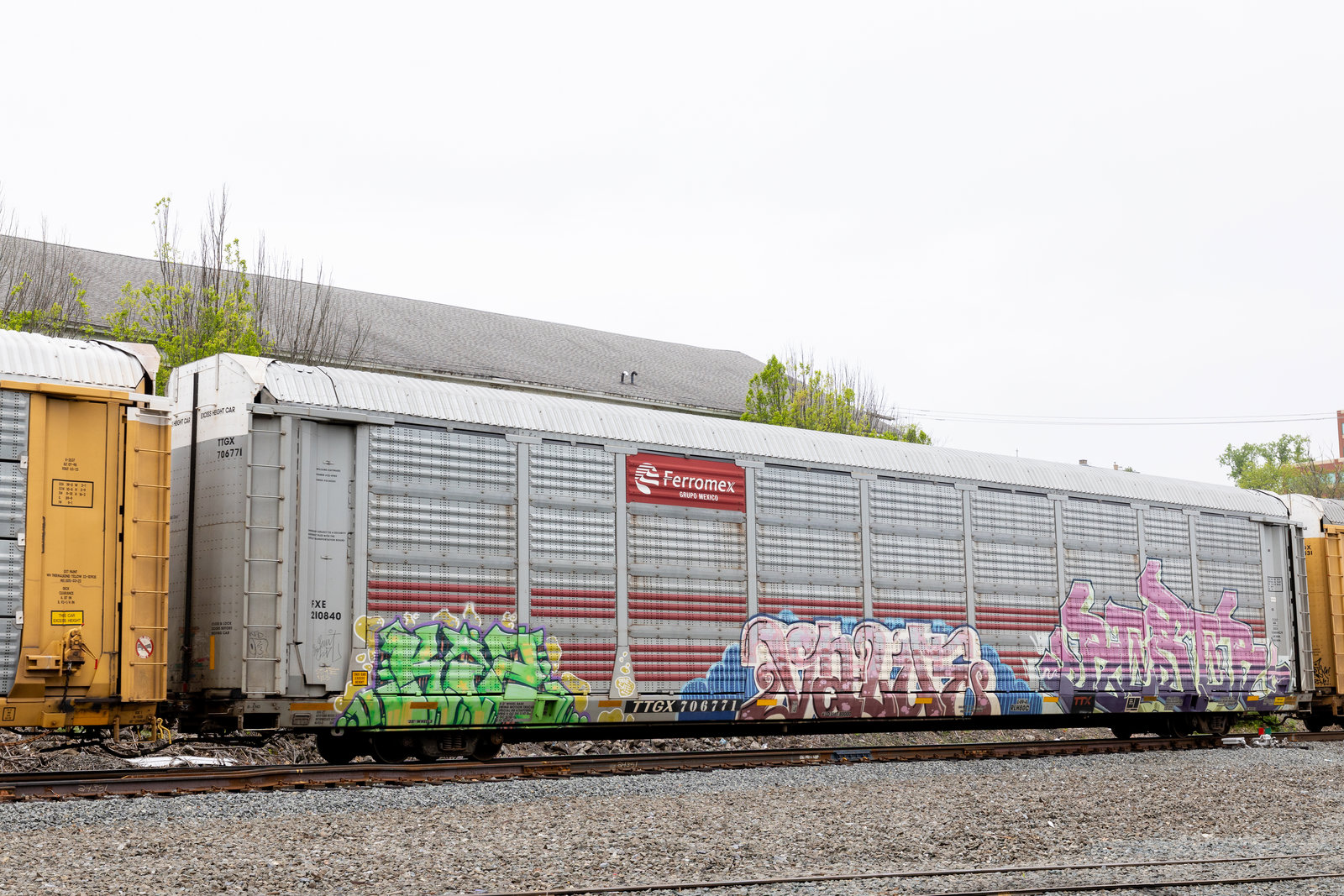 TTGX 706771