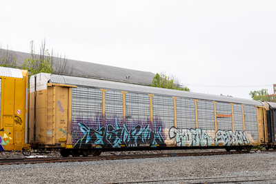 TTGX 952386
