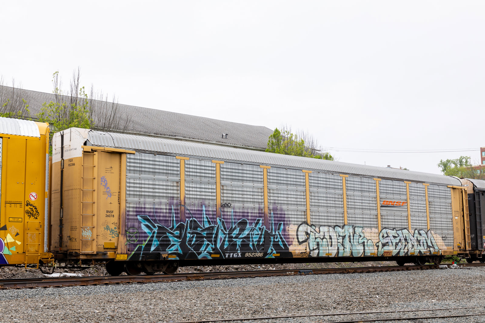 TTGX 952386