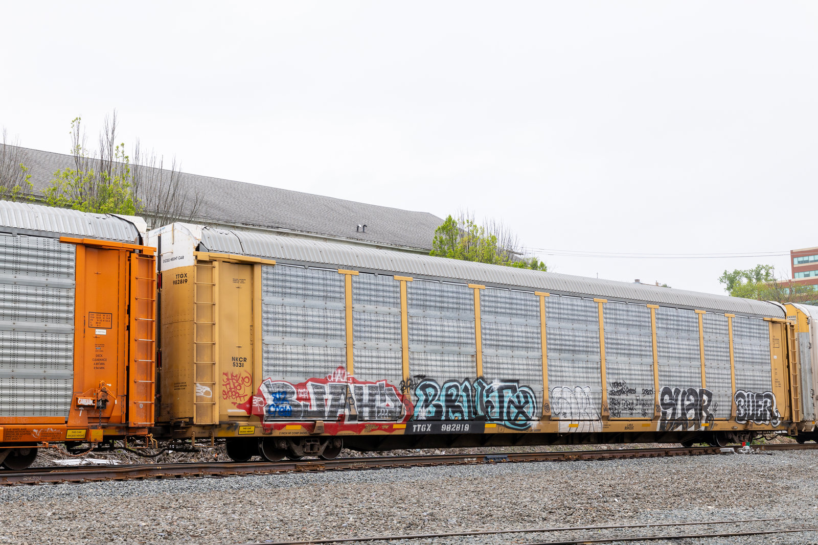 TTGX 982819