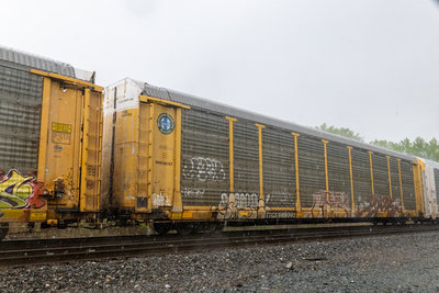 TTGX 989092