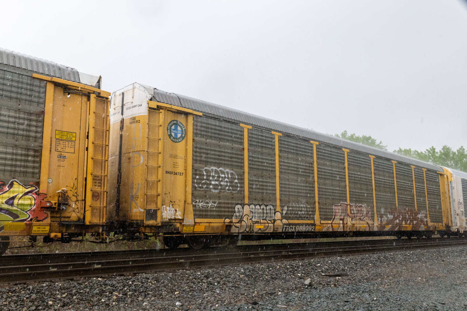 TTGX 989092