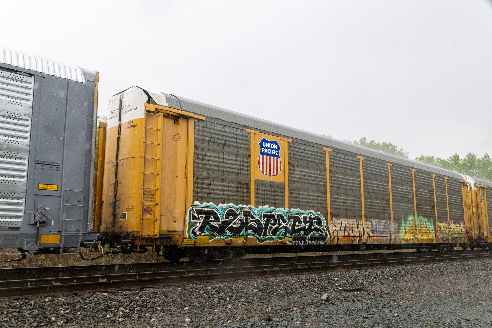 TTGX 996960