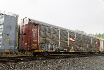 TTGX 991769