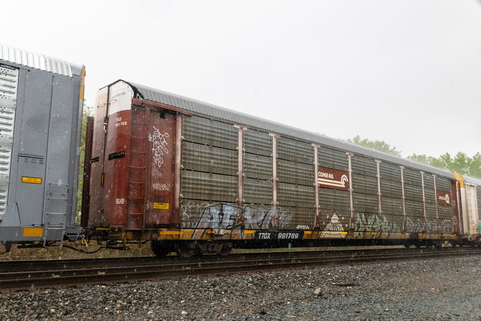 TTGX 991769