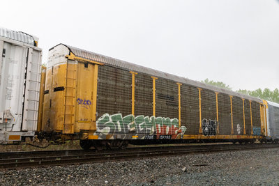 TTGX 157783
