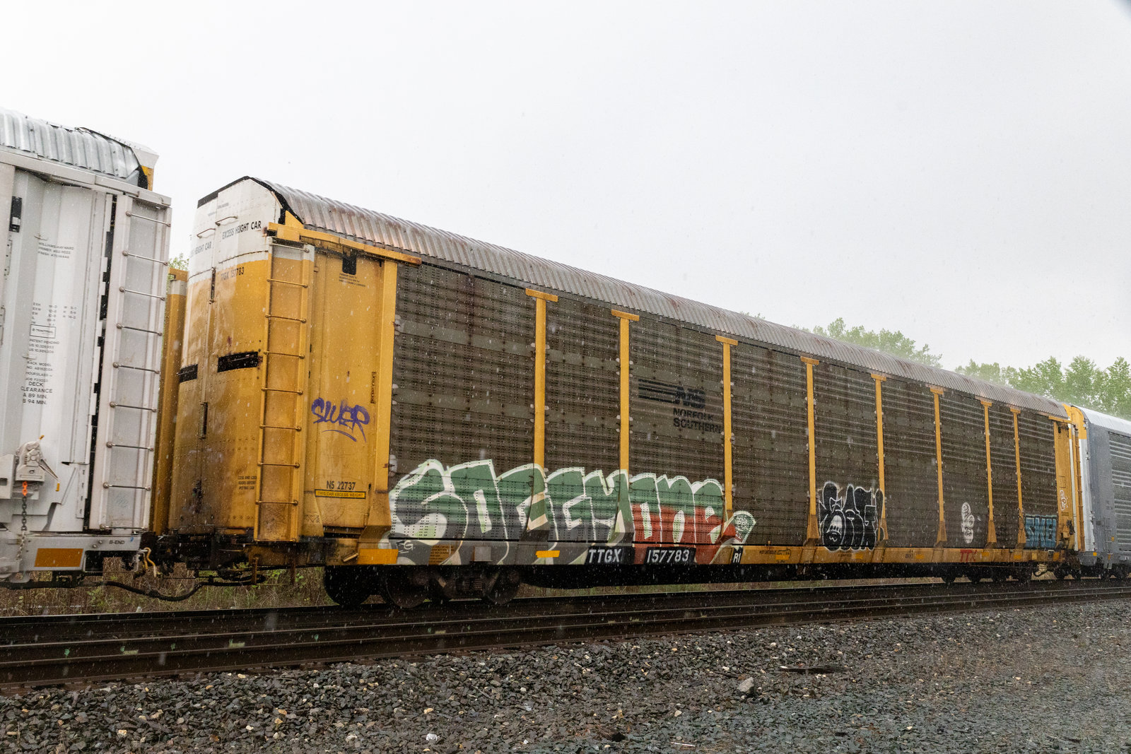 TTGX 157783