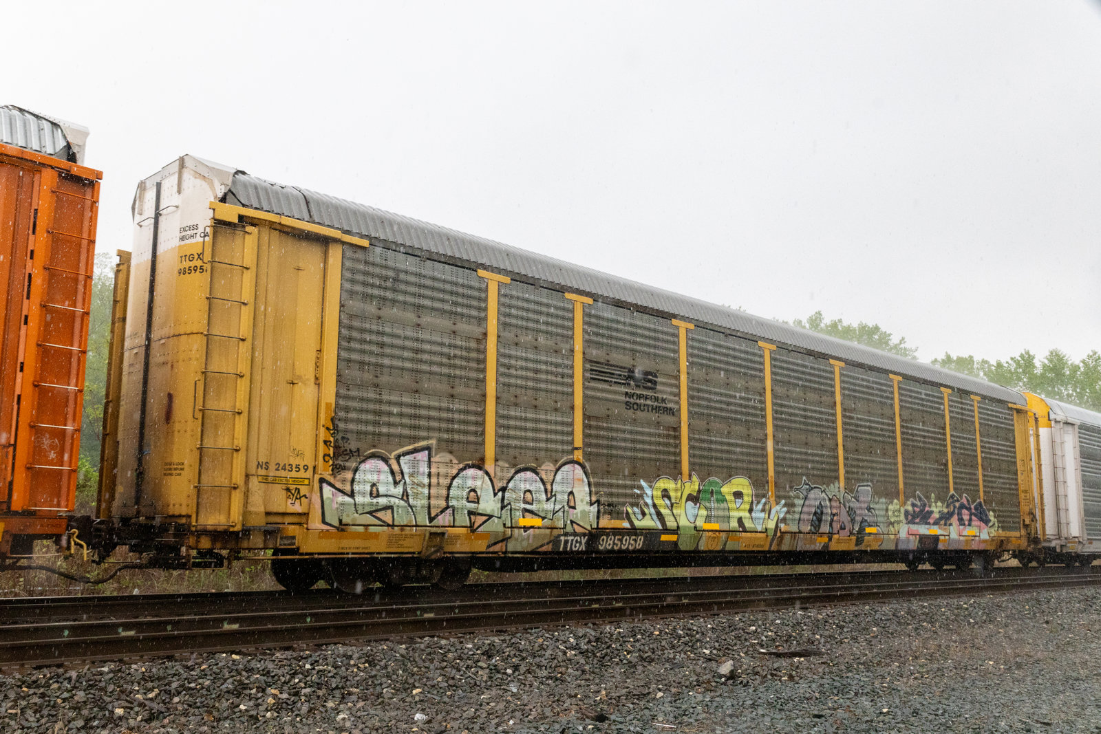 TTGX 985958