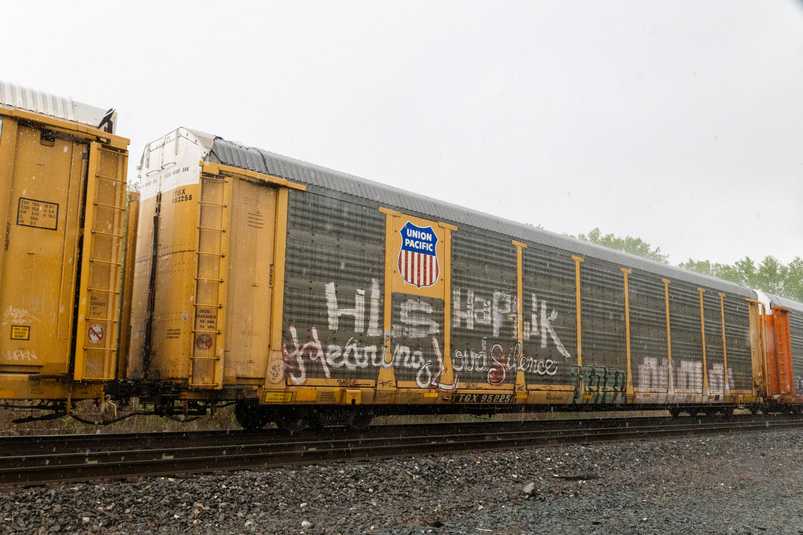 TTGX 952258