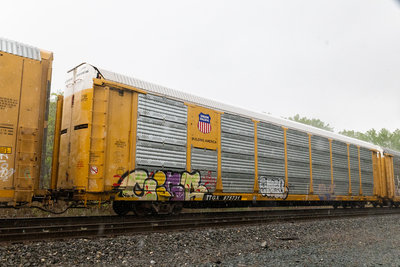 TTGX 975731