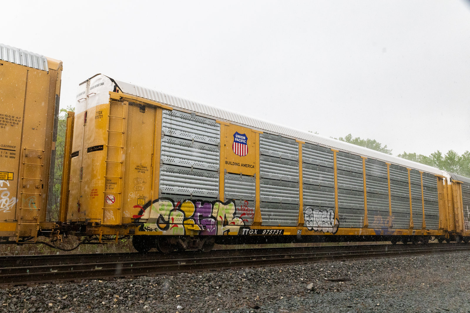 TTGX 975731