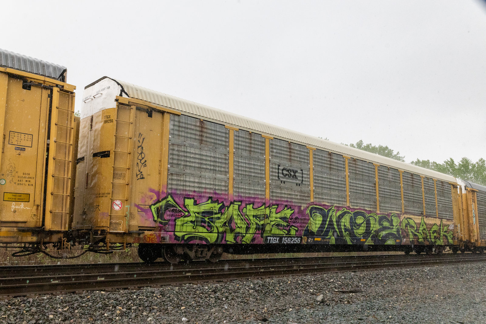 TTGX 156256