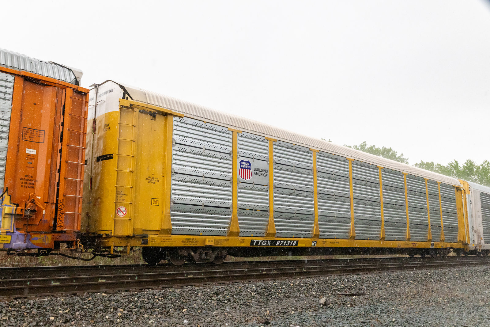 TTGX 971318