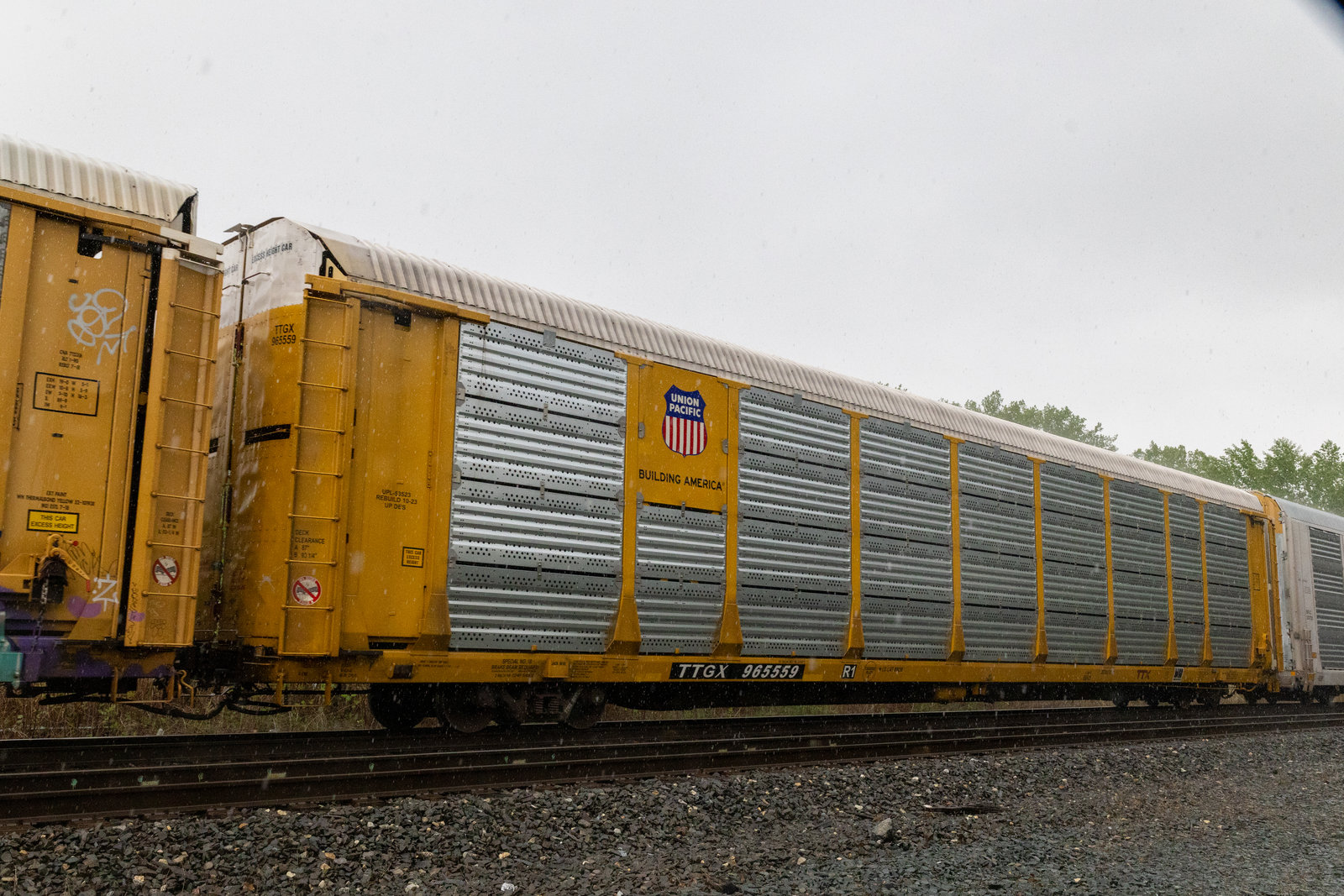 TTGX 965559