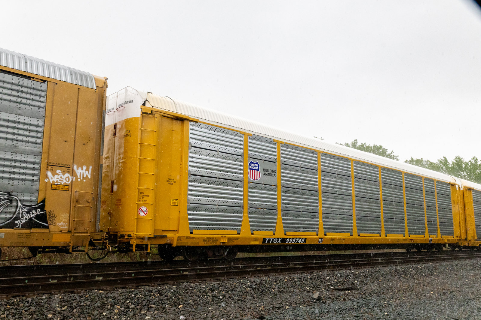 TTGX 995745