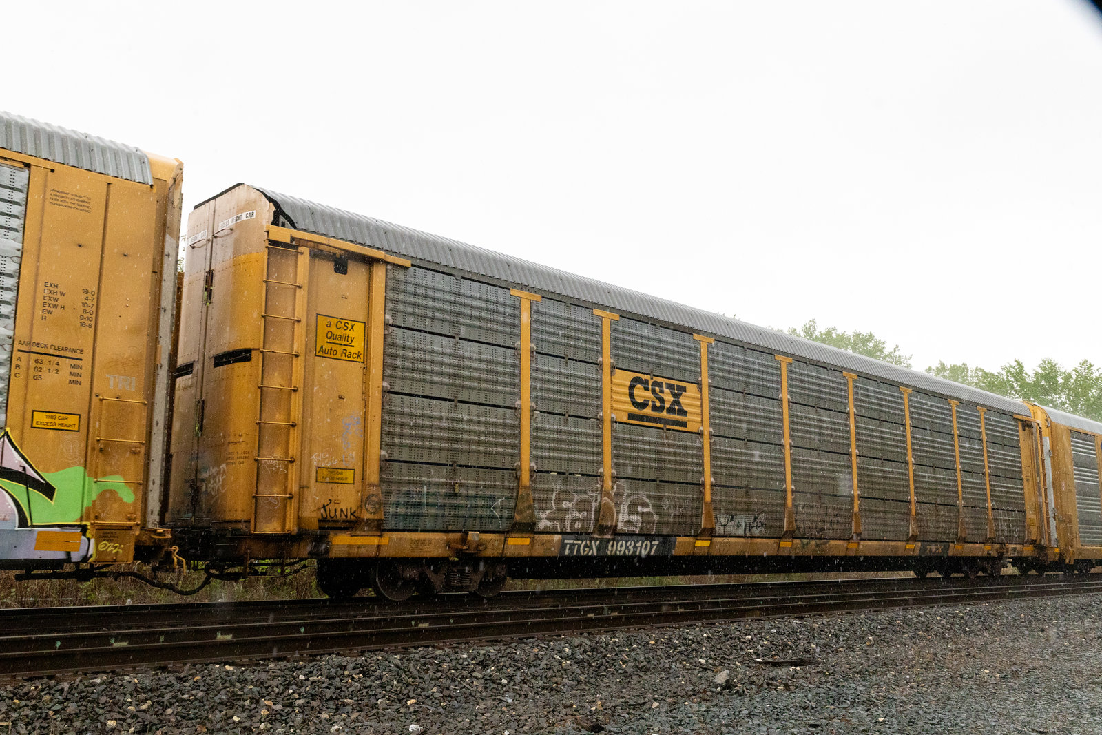 TTGX 993107