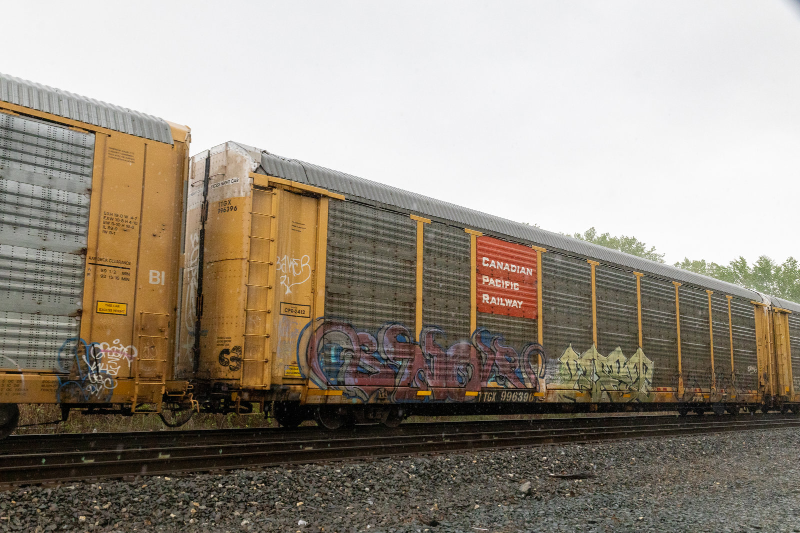 TTGX 996396
