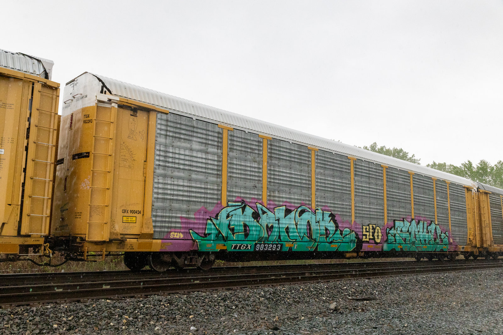 TTGX 983293