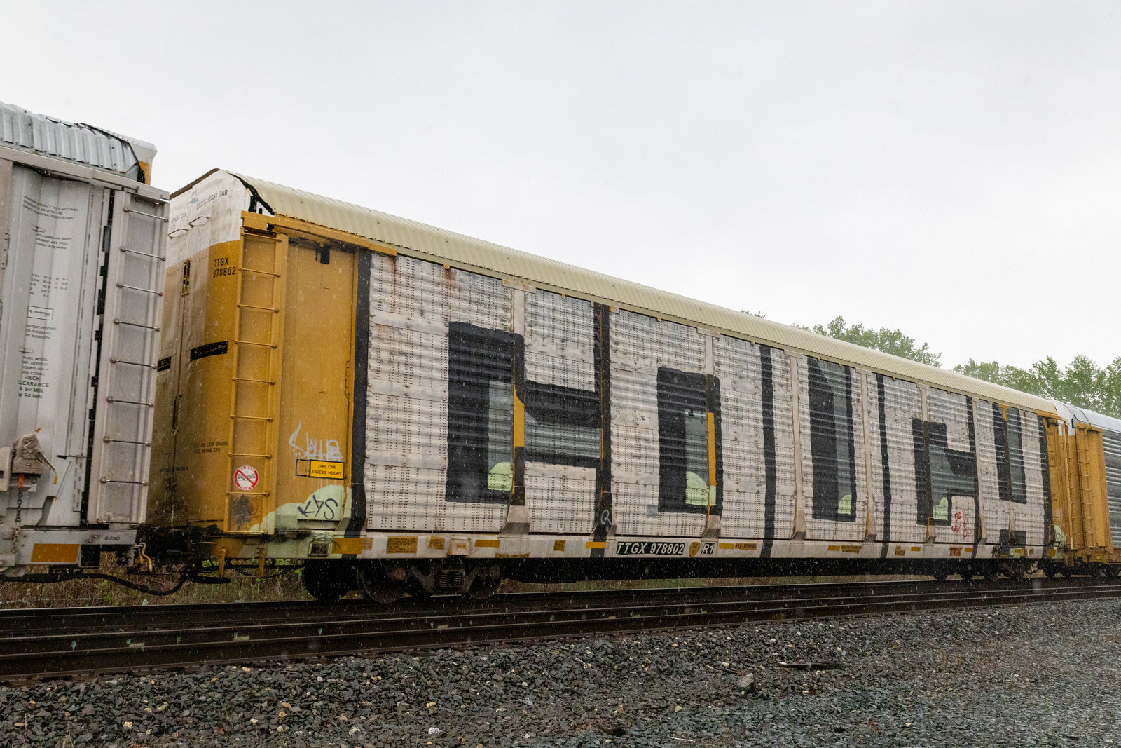 TTGX 978802