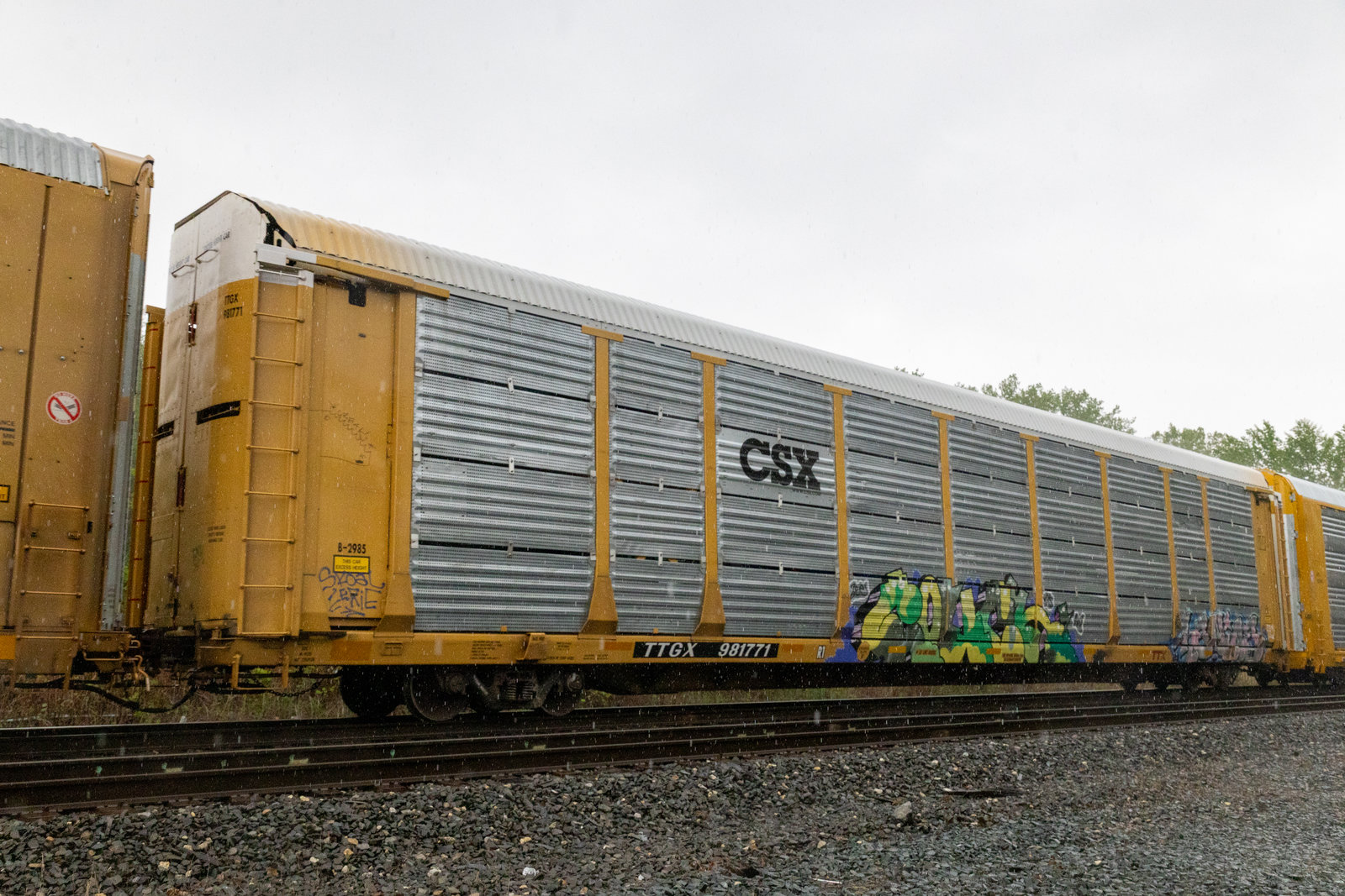 TTGX 981771