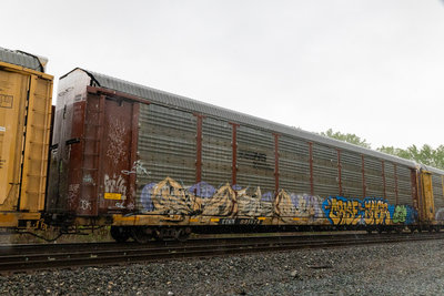 TTGX 991574