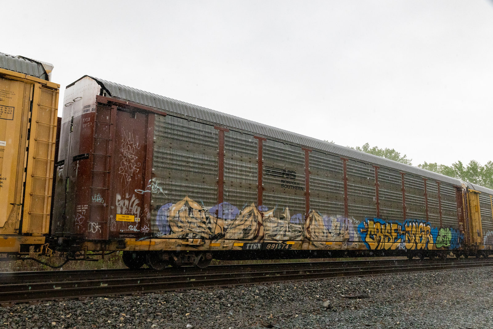 TTGX 991574